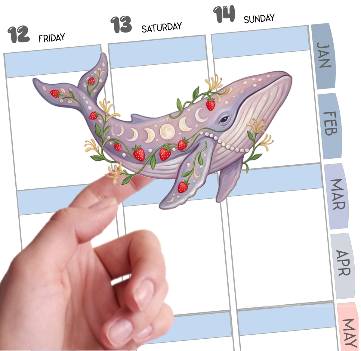 June Girl Summer 5/Big Whale