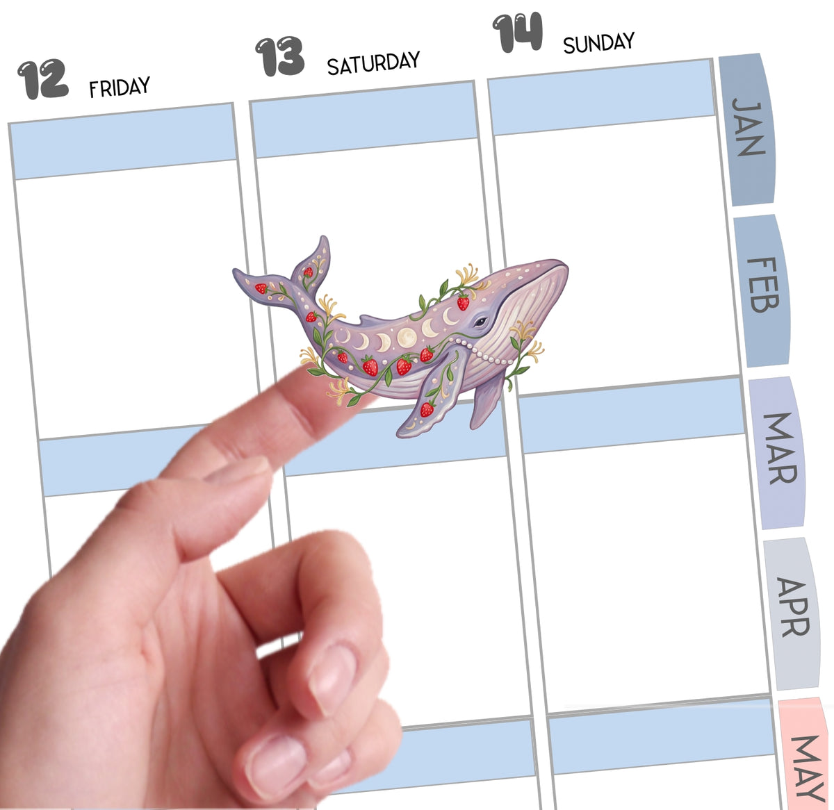 June Girl Summer 5/Small Whale