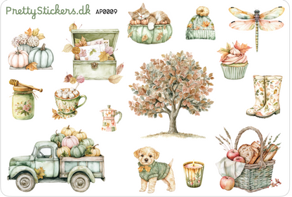 Lovely Autumn 1