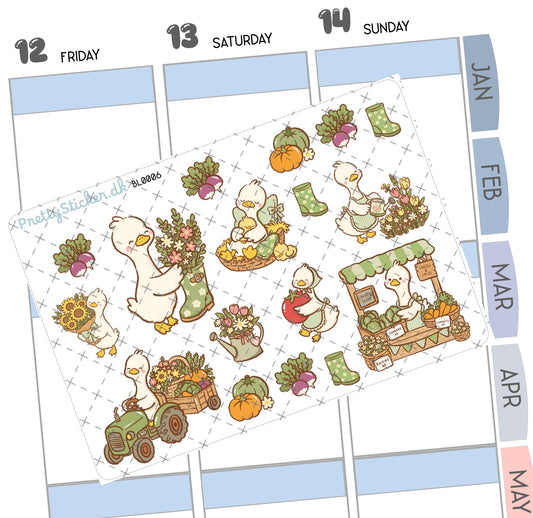 Louis farmers market